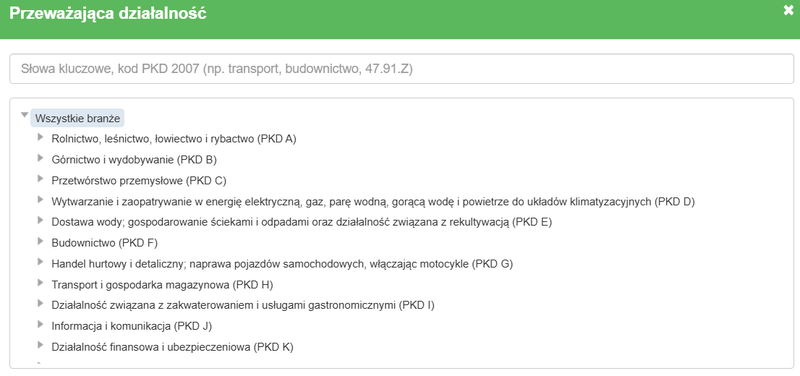 BNF - przeważająca działalność