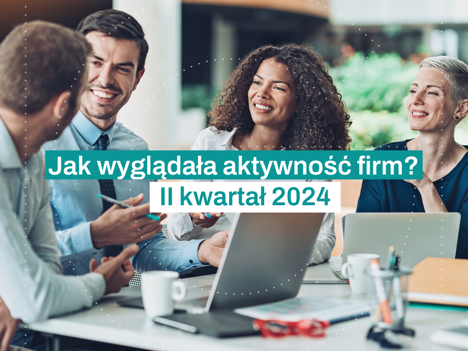 Jak wyglądała aktywność firm II kw